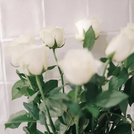 La Demeure De La Cite By Jean Bacou