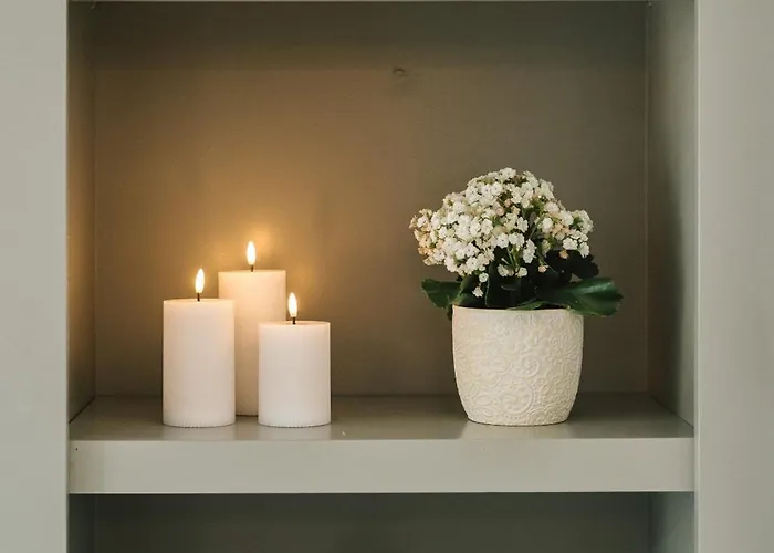 La Demeure De La Cite By Jean Bacou *