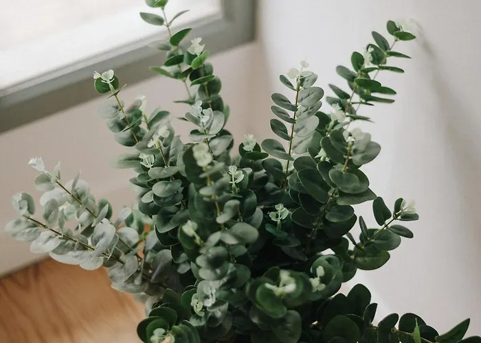 La Demeure De La Cite By Jean Bacou Гостевой дом Каркассон