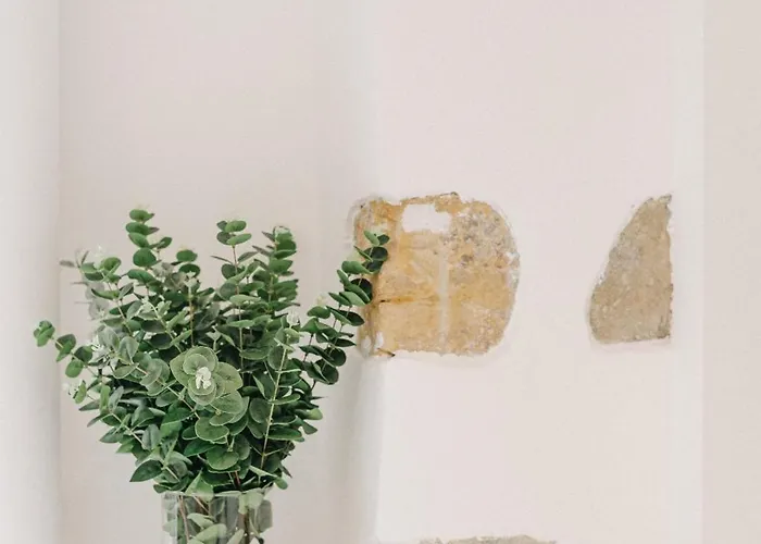 La Demeure De La Cite By Jean Bacou Carcassonne