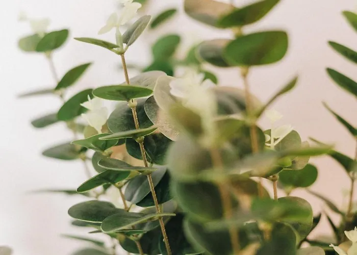 Гостевой дом La Demeure De La Cite By Jean Bacou *