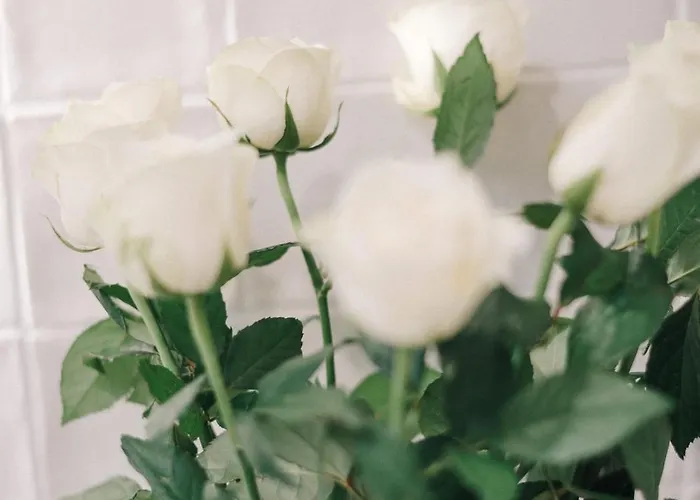 La Demeure De La Cite By Jean Bacou